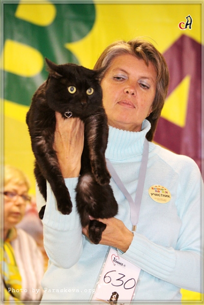 Чёрный кот Барс с хозяйкой